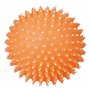 Jouet pour chien Trixie Ballon