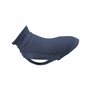 Pull pour chien Trixie Bleu XS