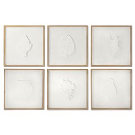 Cadre DKD Home Decor Coquillages 50 x 2 x 50 cm méditerranéen (6 Pièces)