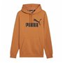 Sweat à capuche homme Puma Essentials Big Logo Hoodie Fl
