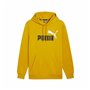 Sweat à capuche homme Puma Ess+ 2 Col Big Logo
