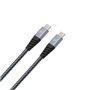 TIGER POWER CABLE ULTRA RESISTANT USB-C USB-C 100W 1,2M GRIS