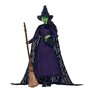 Mattel-Wicked-Poupée Elphaba avec cheveux tressés et multiples poses - Wicked - HXY38