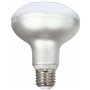 Lampe LED Silver Electronics R90 E27 Blanc Gris A++ 12 W (5000 K)