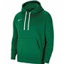 Sweat à capuche homme Nike PARK20 PO HOODIE CW6894 302 Vert