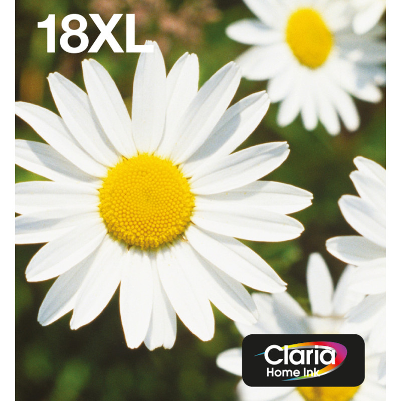 Epson Daisy Multipack EasyMail