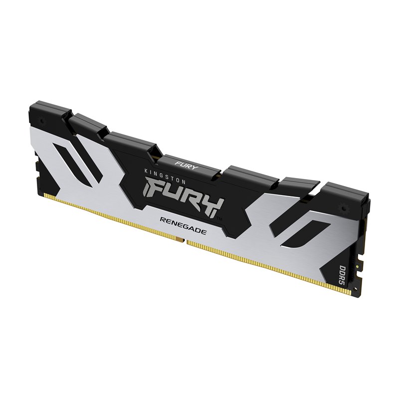 Image secondaire de Kingston Technology FURY 24 Go 7200 MT/s DDR5 CL38 DIMM Renegade Argent XMP