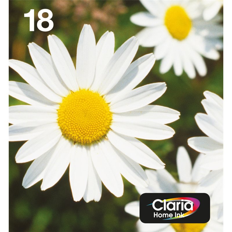 Image secondaire de Epson Daisy Multipack EasyMail 
