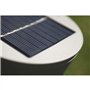 Roseau solaire court - 30 lumens - Blanc