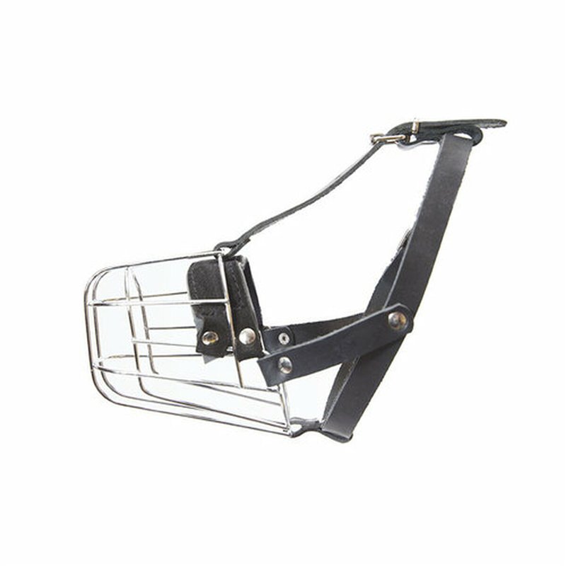 Image secondaire de Muselière Julius K9 Yorkshire Terrier