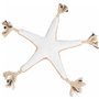 Jouet pour chien Trixie Polyester Coton Étoile de mer 32 cm