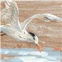Cadre DKD Home Decor Oiseaux méditerranéen (45 x 2,7 x 45 cm) (2 Unités)