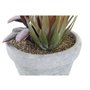 Plante décorative DKD Home Decor Rouge Gris Orange EVA PE (16 x 12,5 x 19,5 cm) (2 Unités)