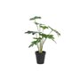 Plante décorative DKD Home Decor Vert PE (20 x 20 x 40 cm)