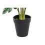 Plante décorative DKD Home Decor Vert PE (20 x 20 x 40 cm)
