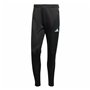 Jogging d'Entraînement de Football pour Adultes Adidas Tiro23 Cb Tr Homme