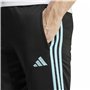 Jogging d'Entraînement de Football pour Adultes Adidas Tiro23 Cb Tr Homme