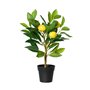 Plante décorative Everlands Plastique Citronnier 17 x 24 x 43 cm