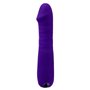 Vibromasseur classique Evolved Selopa Violet