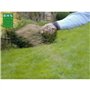 Gazon Anglais BHS - 3kg pour Jardins Haut de Gamme