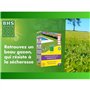 Gazon Regarnissage Terrain Sec - BHS - 1kg | 40 m² | Résistant et durable, avec excellente pérennité et tolérance aux piétinemen