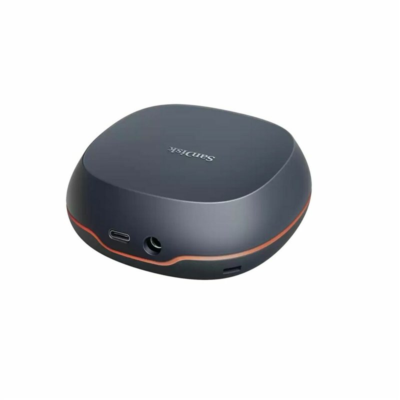 Disque Dur Externe SanDisk SDSSDT40-8T00-EM25 Gris