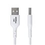 Câble USB Startech USB2AC1MNCWHE Blanc 1 m