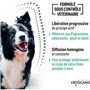 Collier répulsif puces tiques et moustiques - VETOCANIS - Chien de 10 a 20 kg - Extraits Naturels Margosa et Lavandin (Lot de 2)