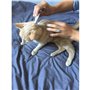 Action Duo pipette - VETOCANIS - Anti-Puces Anti-Tiques Chat
