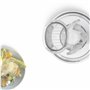 Multimixeur - BOSCH - Pour Kitchen machine MUM5 - Couteau universel, râpe et disque double tranchant - Blanc transparent