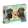 CLEMENTONI - Compact 1000 pieces - Three Labs