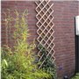 Treillis extensible - NATURE - En bambou - 70 x 180 cm