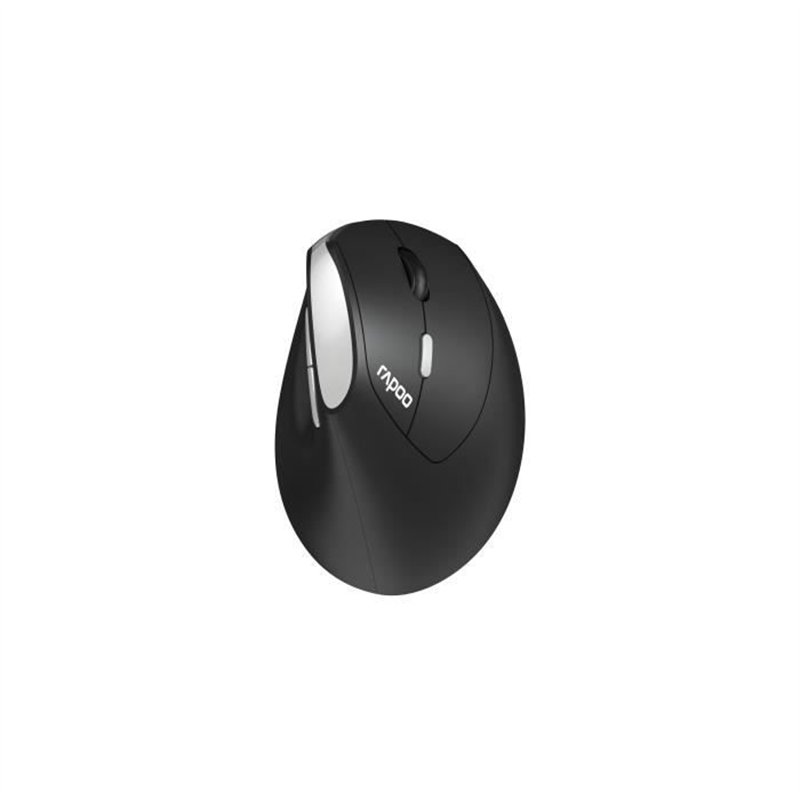 Souris - Sans fil - Rapoo - EV250 - Noir