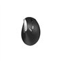 Souris - Sans fil - Rapoo - EV250 - Noir