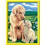 CreArt Kids 18x24cm Amour maternel, Kit de peinture par numéros Numéro d'Art, Des 7 ans, 25827, Ravensburger