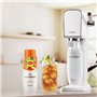 Concentrés SODASTREAM - Lot de 6 concentrés Lipton Ice Tea - Jusqu'a 54L de boissons - 440 ml
