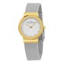 Montre Femme Skagen 358SGSCD (Ø 26 mm)