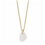 Collier Femme Skagen SKJ1552710
