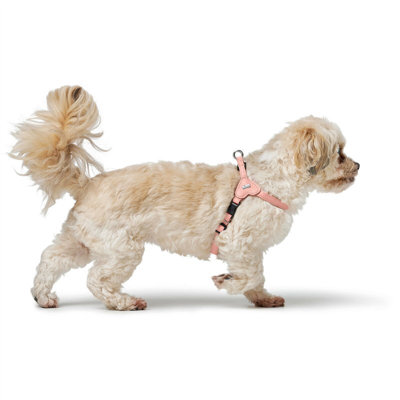 Image secondaire du Harnais pour Chien Hunter SOHO MINI Rose XXS/XS