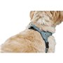 Harnais pour Chien Hunter SOHO MINI Bleu XS/S