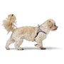 Harnais pour Chien Hunter SOHO MINI Lila