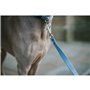 Laisse pour Chien Hunter Bleu 100 cm