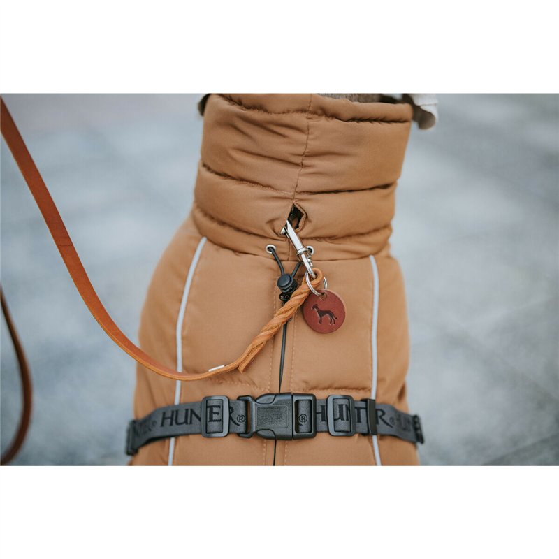 Image secondaire de Vêtements pour animaux de compagnie Hunter PAXSON Marron Polyester