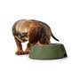 Mangeoire pour chiens Hunter Vert 160 ml