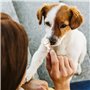 8in1 Delights XS - Os à Mâcher garnis de poulet pour Chien de Petite Taille - 7 pièces