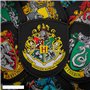 Cinereplicas - Harry Potter - Set de 5 Écussons Deluxe Maisons Poudlard- Licence Officielle Warner Bros Harry Potter