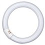 Osram AA408170155-circulaire Tube Fluorescent/l32 865-32w