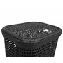 DEA Home 143659 Rattan 60 Coffre à Linge avec Couvercle Polypropylène Anthracite 42 x 33 x 58 cm