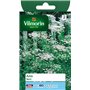 Vilmorin 5871546 Pack de Graines Anis Vert