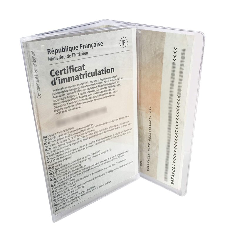 COLORPOP Étui Carte Grise, Pochette de Protection Transparente